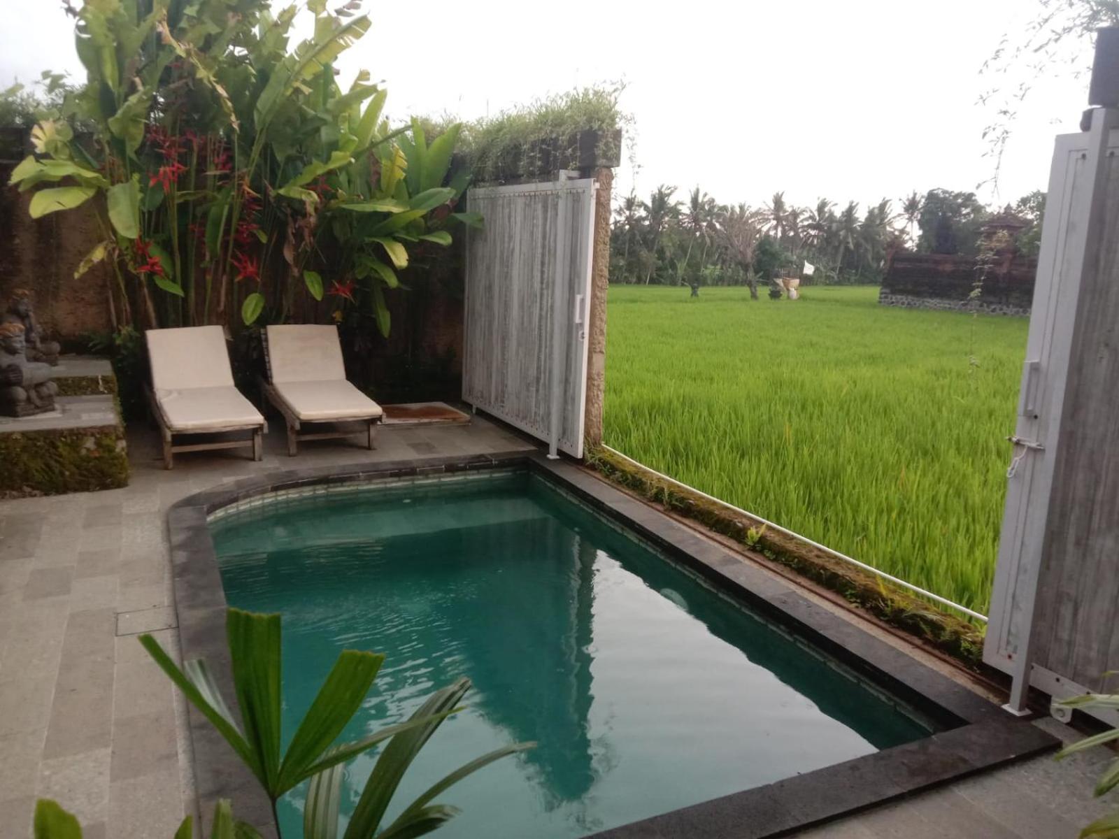 Sujiwa Ubud Hotel & Villa Extérieur photo